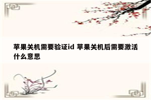 苹果关机需要验证id 苹果关机后需要激活什么意思