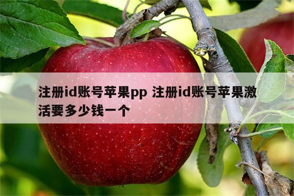 注册id账号苹果pp 注册id账号苹果激活要多少钱一个
