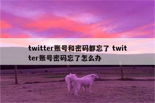 twitter账号和密码都忘了 twitter账号密码忘了怎么办