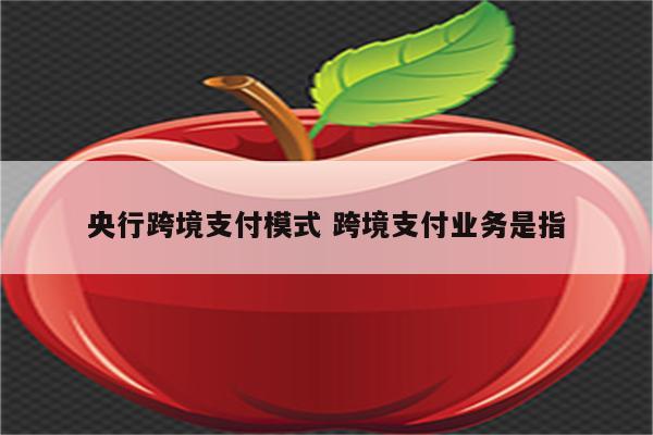 央行跨境支付模式 跨境支付业务是指