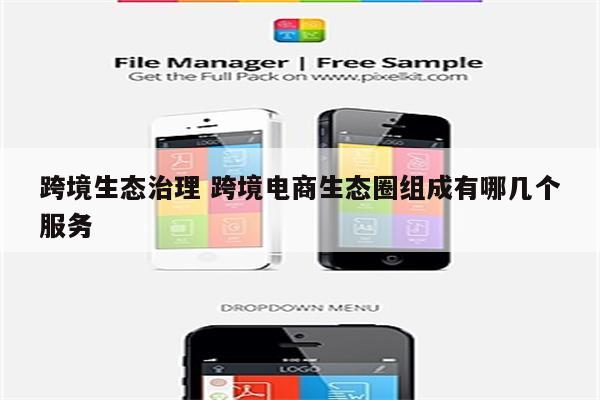 跨境生态治理 跨境电商生态圈组成有哪几个服务
