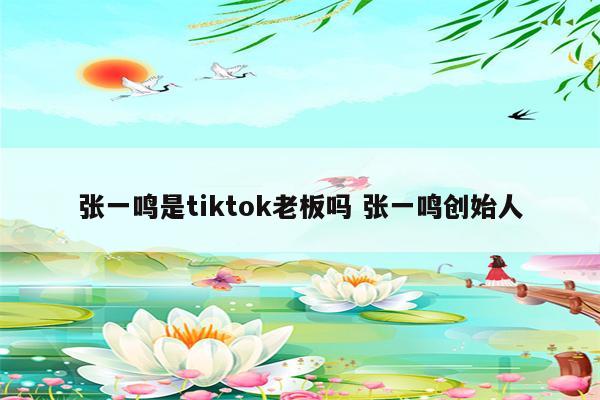 张一鸣是tiktok老板吗 张一鸣创始人
