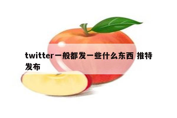 twitter一般都发一些什么东西 推特发布