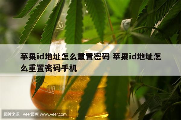 苹果id地址怎么重置密码 苹果id地址怎么重置密码手机