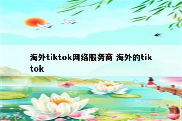 海外tiktok网络服务商 海外的tiktok