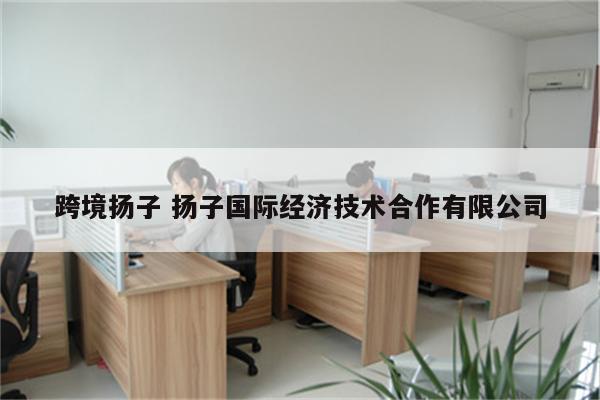 跨境扬子 扬子国际经济技术合作有限公司
