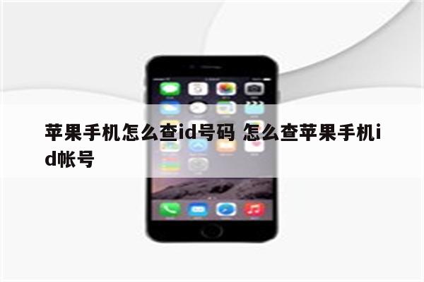 苹果手机怎么查id号码 怎么查苹果手机id帐号