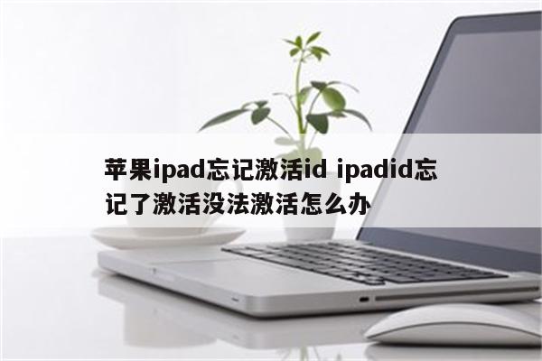 苹果ipad忘记激活id ipadid忘记了激活没法激活怎么办