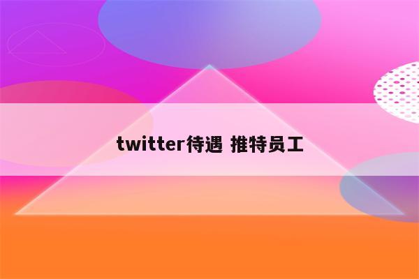 twitter待遇 推特员工