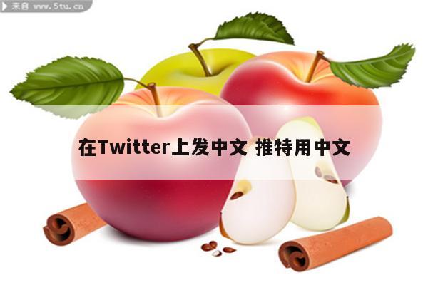 在Twitter上发中文 推特用中文