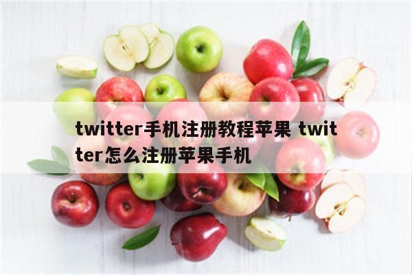 twitter手机注册教程苹果 twitter怎么注册苹果手机