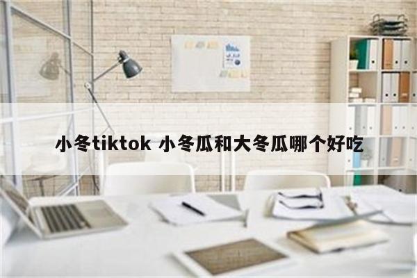 小冬tiktok 小冬瓜和大冬瓜哪个好吃