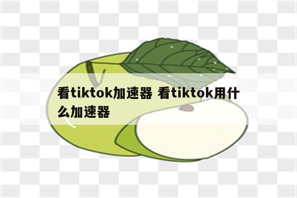 看tiktok加速器 看tiktok用什么加速器