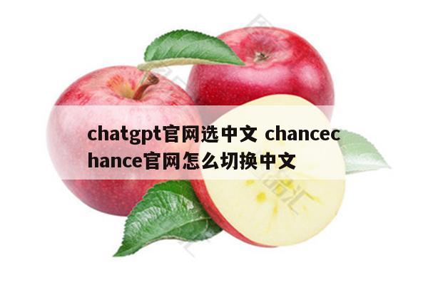 chatgpt官网选中文 chancechance官网怎么切换中文