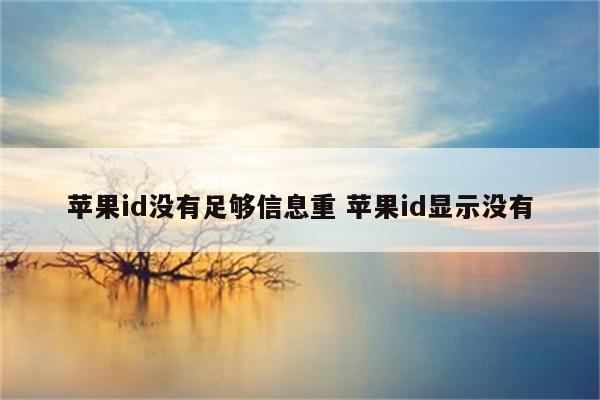 苹果id没有足够信息重 苹果id显示没有