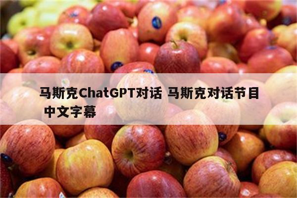 马斯克ChatGPT对话 马斯克对话节目 中文字幕