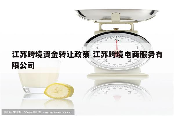 江苏跨境资金转让政策 江苏跨境电商服务有限公司