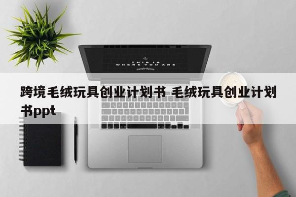跨境毛绒玩具创业计划书 毛绒玩具创业计划书ppt