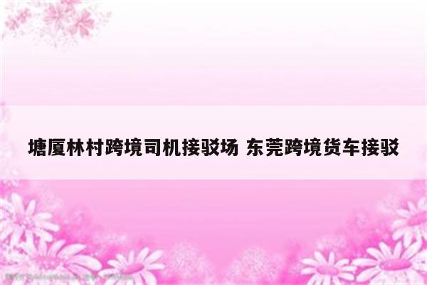 塘厦林村跨境司机接驳场 东莞跨境货车接驳