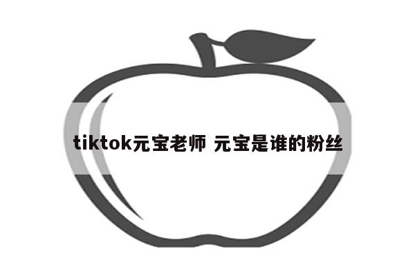 tiktok元宝老师 元宝是谁的粉丝