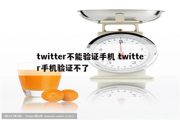 twitter不能验证手机 twitter手机验证不了