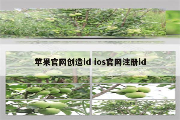 苹果官网创造id ios官网注册id