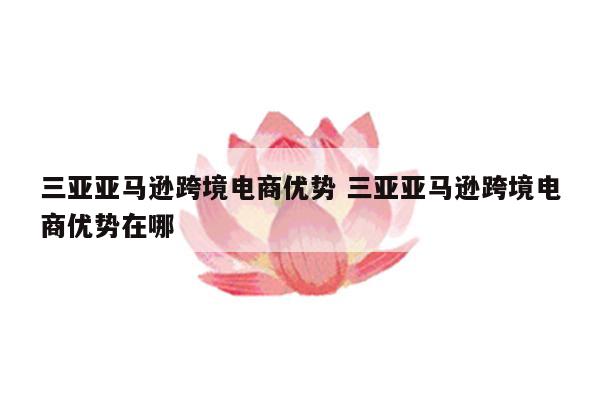 三亚亚马逊跨境电商优势 三亚亚马逊跨境电商优势在哪
