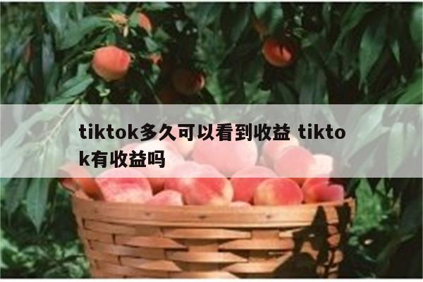 tiktok多久可以看到收益 tiktok有收益吗