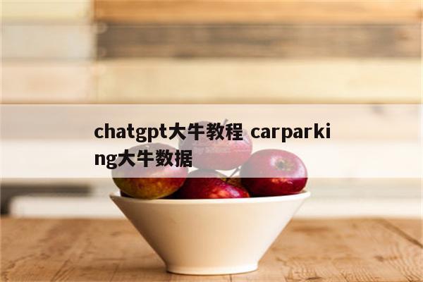chatgpt大牛教程 carparking大牛数据