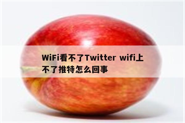 WiFi看不了Twitter wifi上不了推特怎么回事