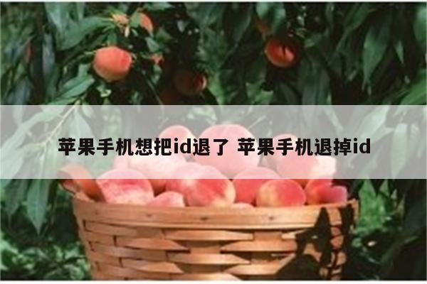 苹果手机想把id退了 苹果手机退掉id
