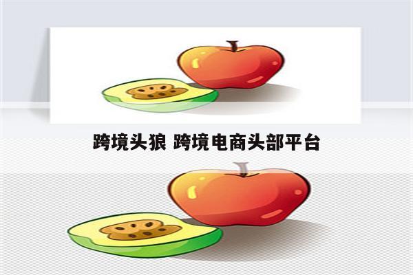 跨境头狼 跨境电商头部平台