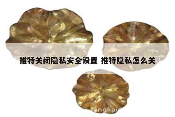 推特关闭隐私安全设置 推特隐私怎么关