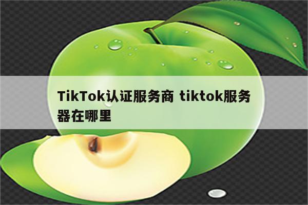 TikTok认证服务商 tiktok服务器在哪里