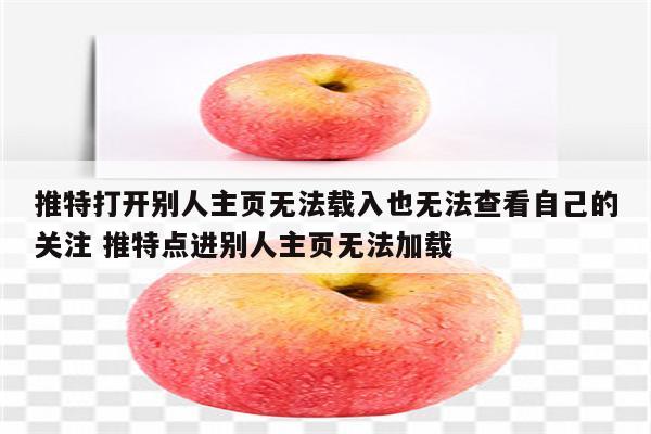 推特打开别人主页无法载入也无法查看自己的关注 推特点进别人主页无法加载