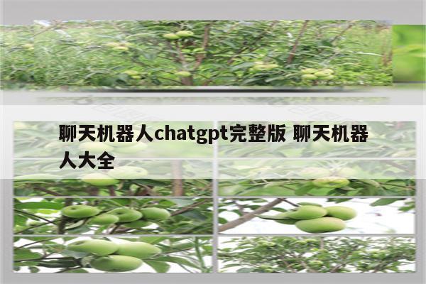聊天机器人chatgpt完整版 聊天机器人大全