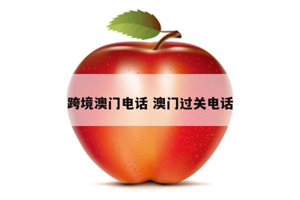 跨境澳门电话 澳门过关电话