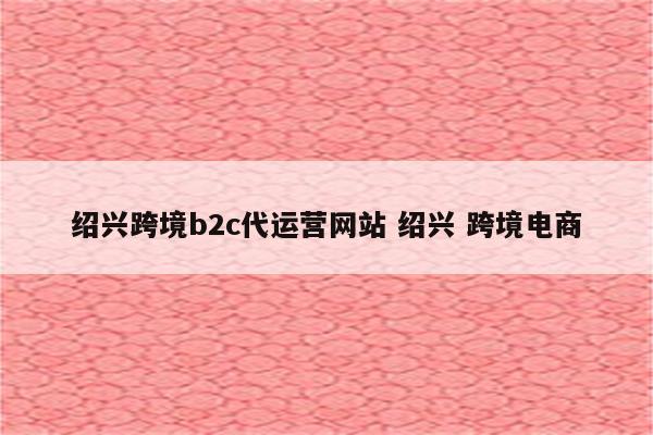 绍兴跨境b2c代运营网站 绍兴 跨境电商