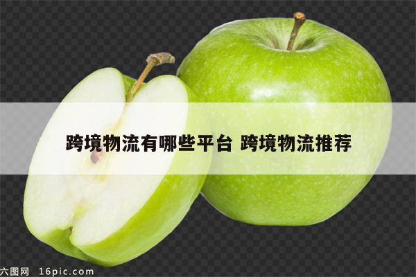 跨境物流有哪些平台 跨境物流推荐