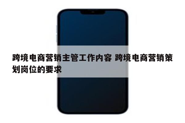 跨境电商营销主管工作内容 跨境电商营销策划岗位的要求