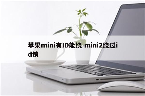 苹果mini有ID能绕 mini2绕过id锁