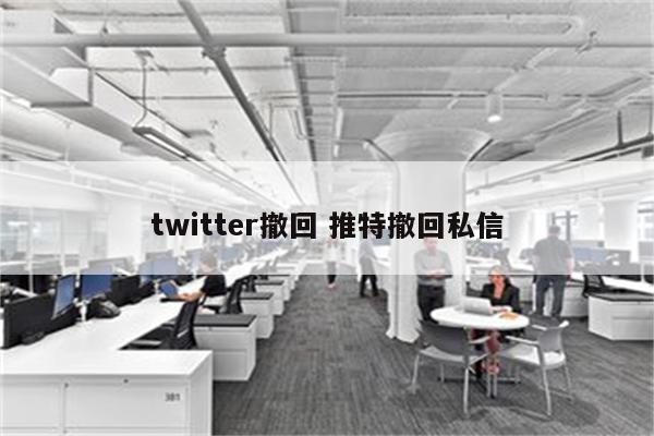 twitter撤回 推特撤回私信