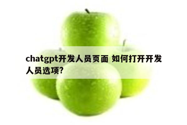 chatgpt开发人员页面 如何打开开发人员选项?