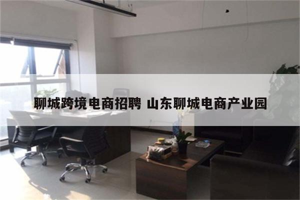 聊城跨境电商招聘 山东聊城电商产业园