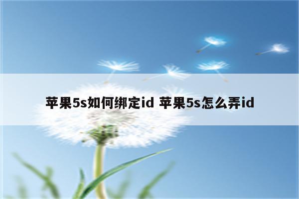 苹果5s如何绑定id 苹果5s怎么弄id