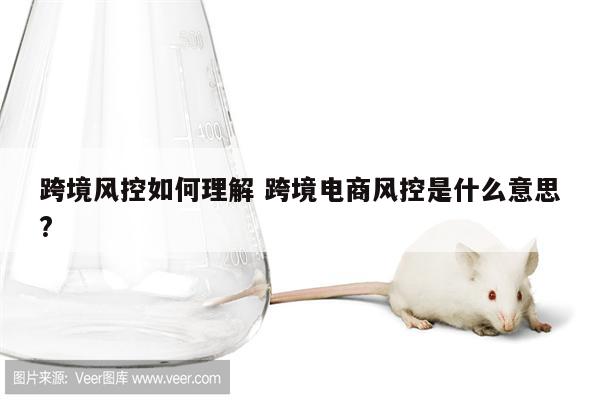 跨境风控如何理解 跨境电商风控是什么意思?