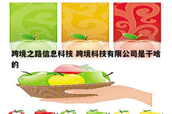 跨境之路信息科技 跨境科技有限公司是干啥的