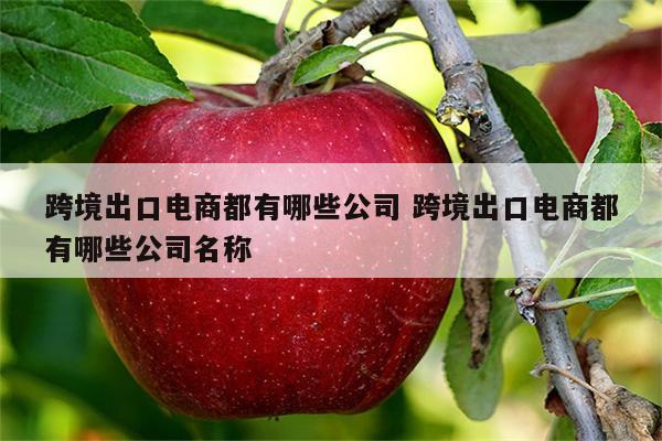 跨境出口电商都有哪些公司 跨境出口电商都有哪些公司名称
