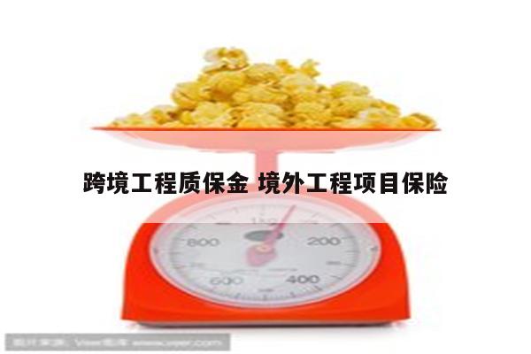 跨境工程质保金 境外工程项目保险