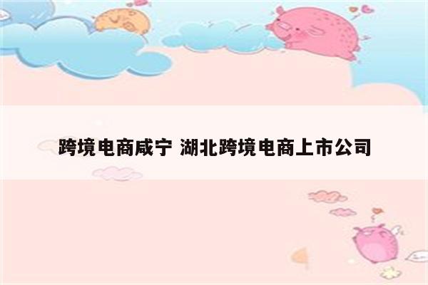 跨境电商咸宁 湖北跨境电商上市公司